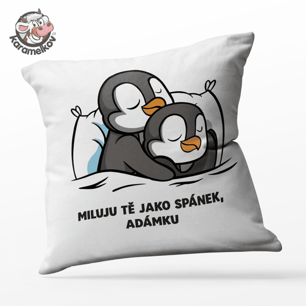 #101 Polštář s vlastním textem